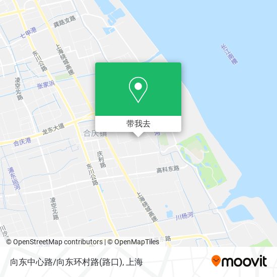 向东中心路/向东环村路(路口)地图