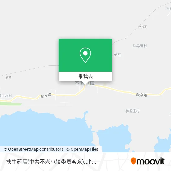 扶生药店(中共不老屯镇委员会东)地图