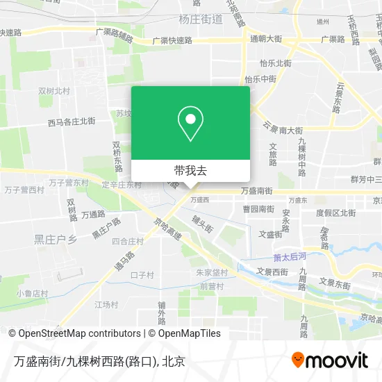 万盛南街/九棵树西路(路口)地图