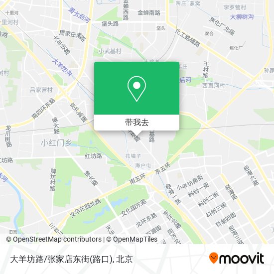 大羊坊路/张家店东街(路口)地图