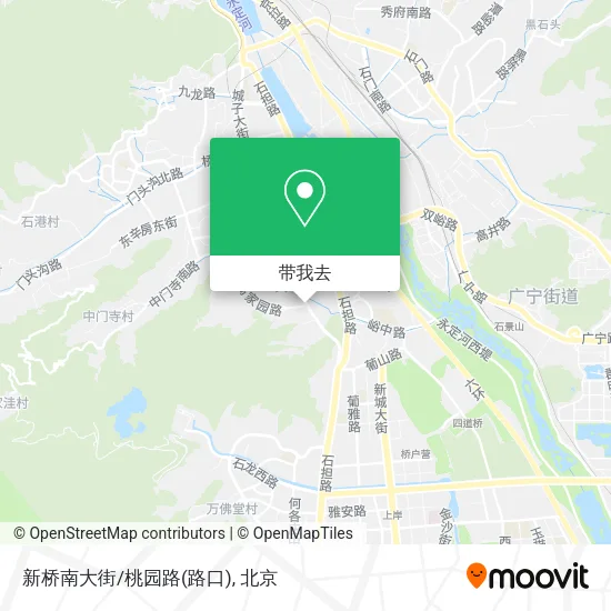 新桥南大街/桃园路(路口)地图