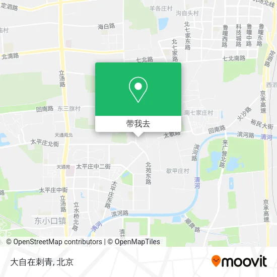 大自在刺青地图