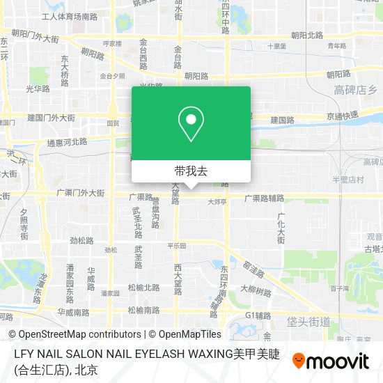 LFY NAIL SALON NAIL EYELASH WAXING美甲美睫(合生汇店)地图