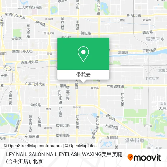 LFY NAIL SALON NAIL EYELASH WAXING美甲美睫(合生汇店)地图