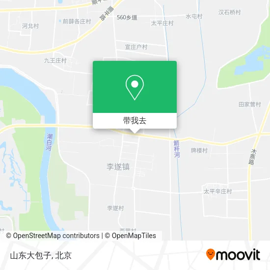 山东大包子地图