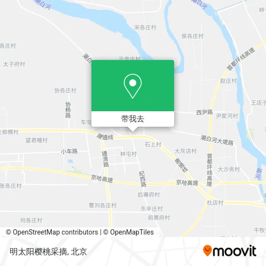明太阳樱桃采摘地图