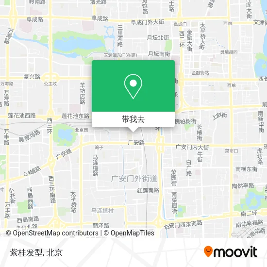 紫桂发型地图