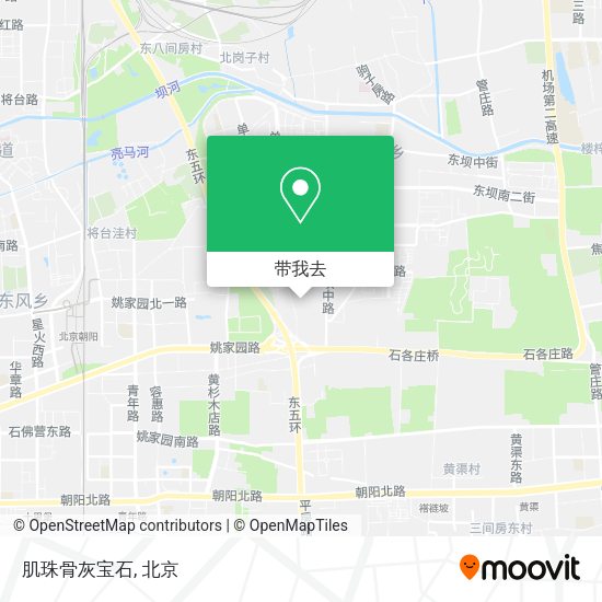 肌珠骨灰宝石地图