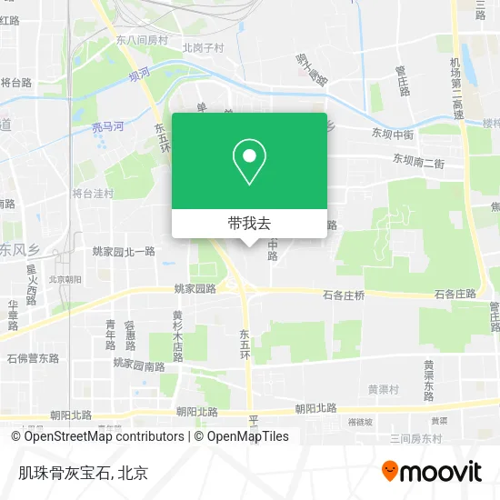 肌珠骨灰宝石地图