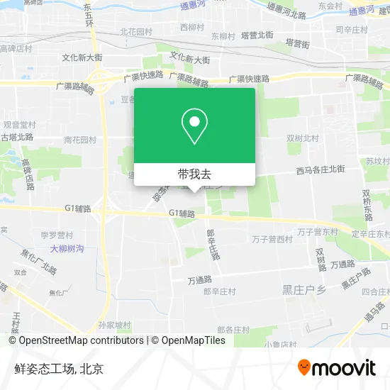 鲜姿态工场地图
