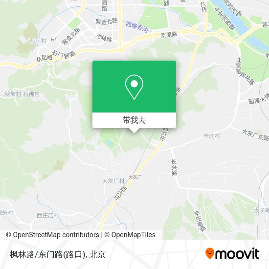 枫林路/东门路(路口)地图
