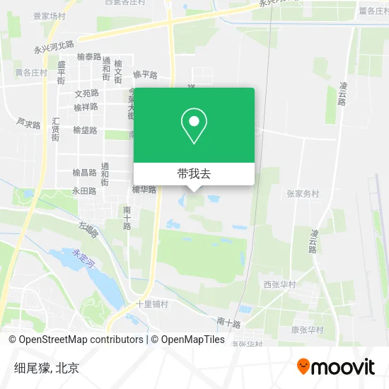 细尾獴地图