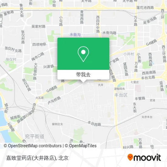 嘉致堂药店(大井路店)地图