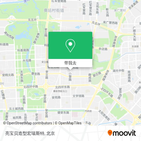 亮宝贝造型宏瑞斯特地图