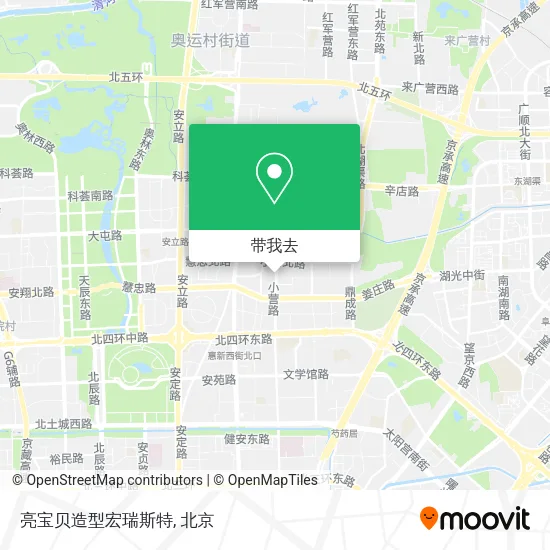 亮宝贝造型宏瑞斯特地图