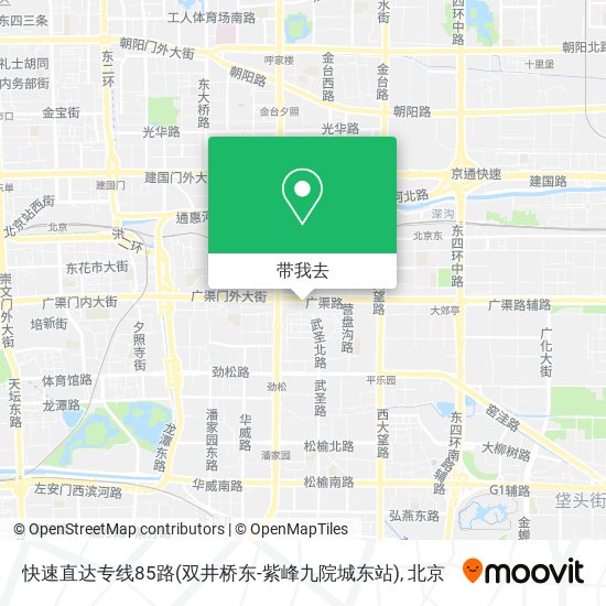 快速直达专线85路(双井桥东-紫峰九院城东站)地图