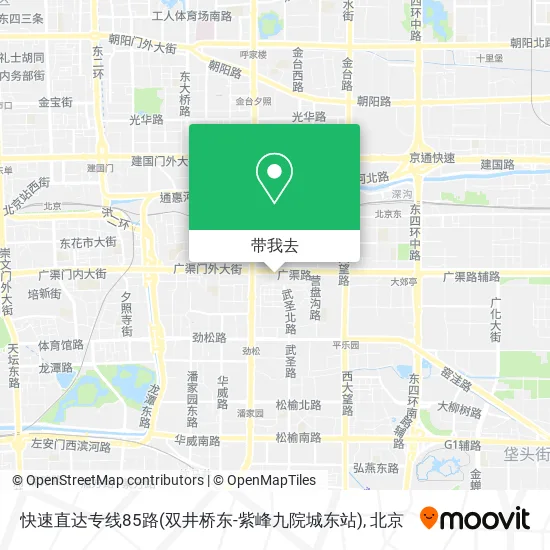 快速直达专线85路(双井桥东-紫峰九院城东站)地图