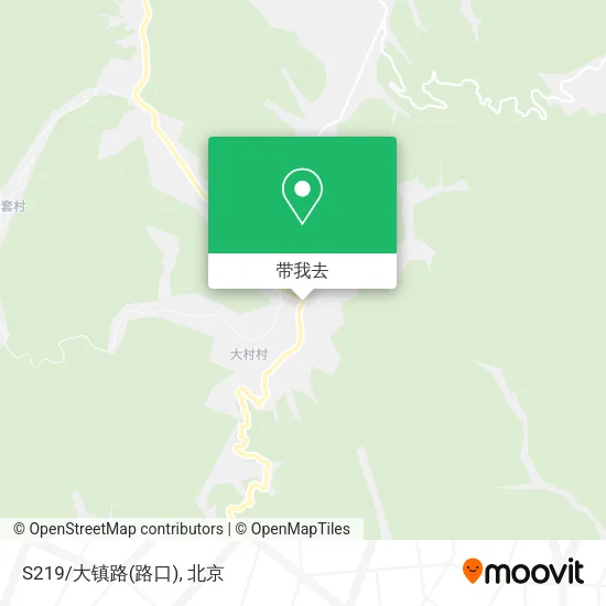 S219/大镇路(路口)地图