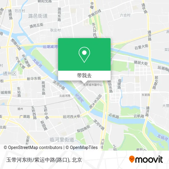 玉带河东街/紫运中路(路口)地图