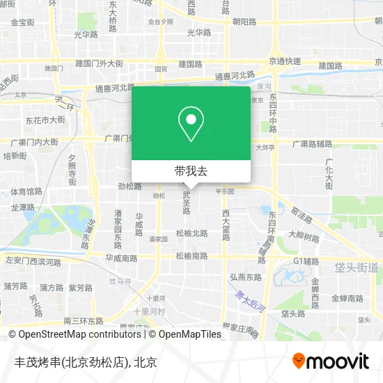 丰茂烤串(北京劲松店)地图