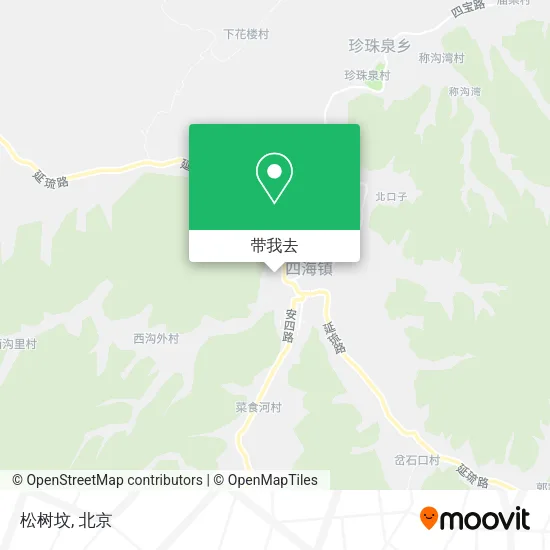 松树坟地图