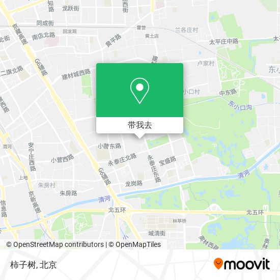 柿子树地图