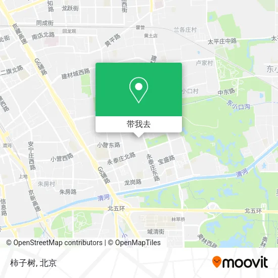 柿子树地图