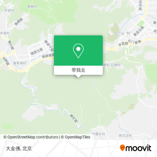 大金佛地图
