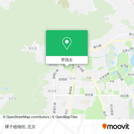 裸子植物区地图