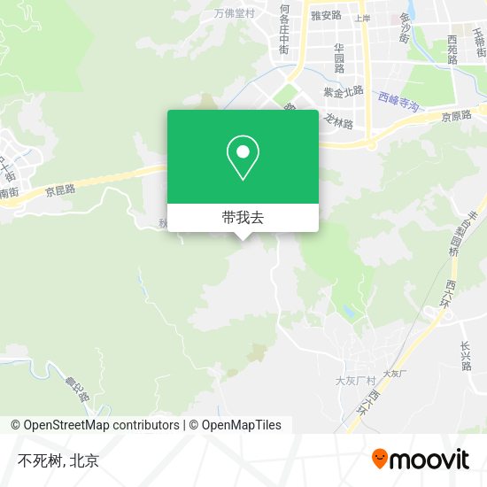 不死树地图