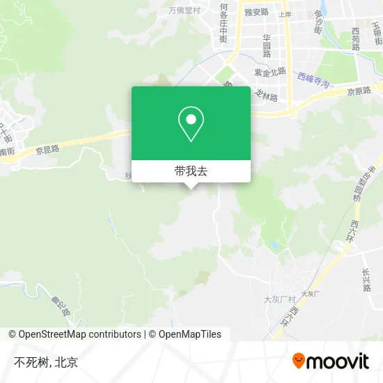 不死树地图