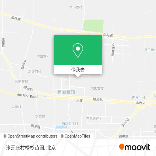 张喜庄村松杉苗圃地图