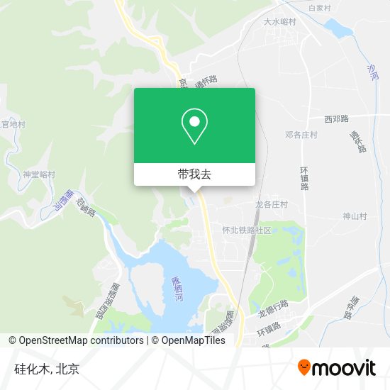 硅化木地图