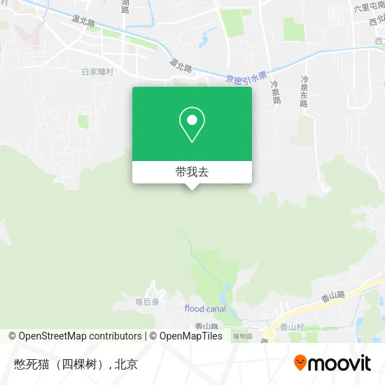 憋死猫（四棵树）地图