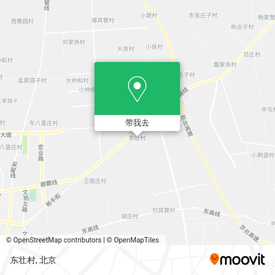 东壮村地图