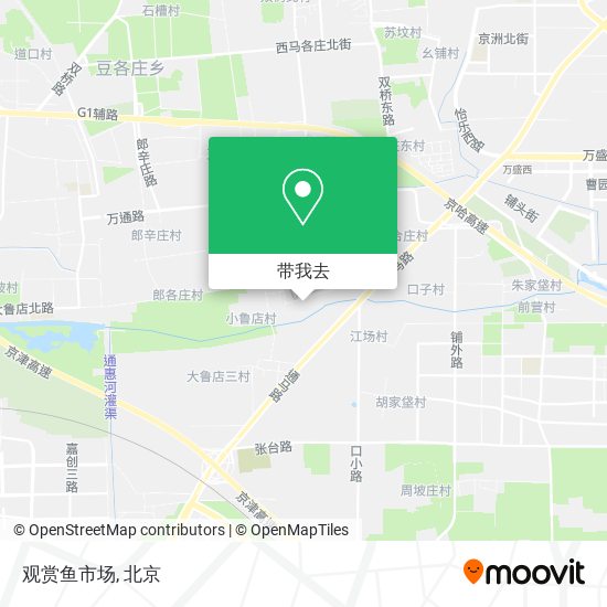 观赏鱼市场地图
