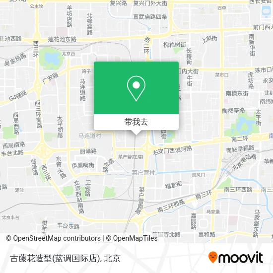古藤花造型(蓝调国际店)地图