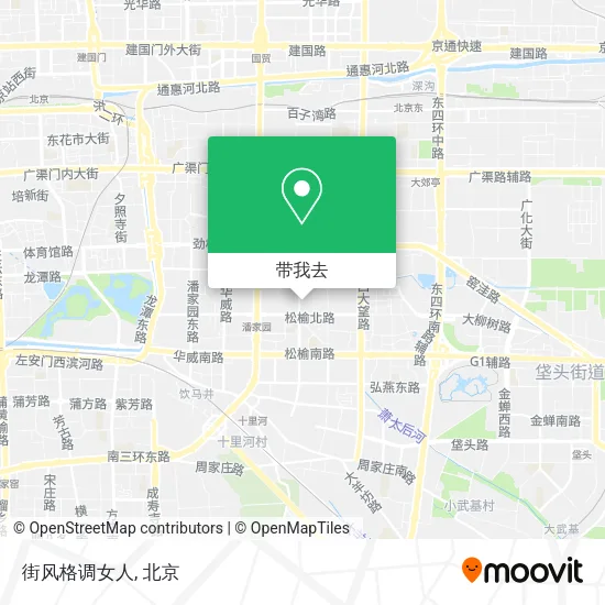 街风格调女人地图