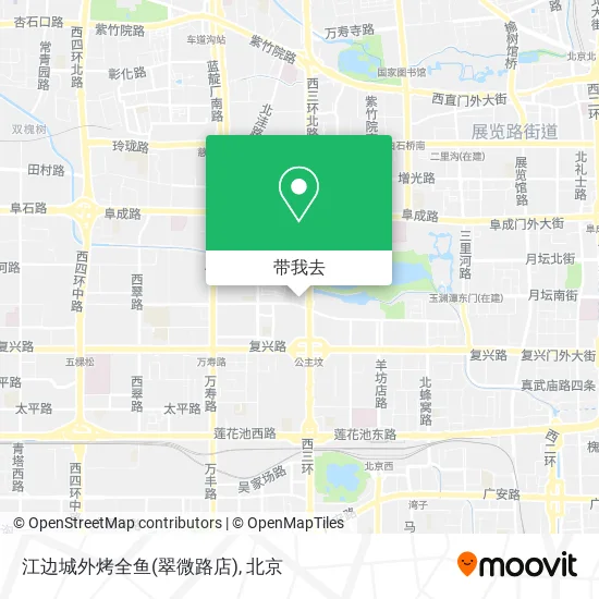 江边城外烤全鱼(翠微路店)地图