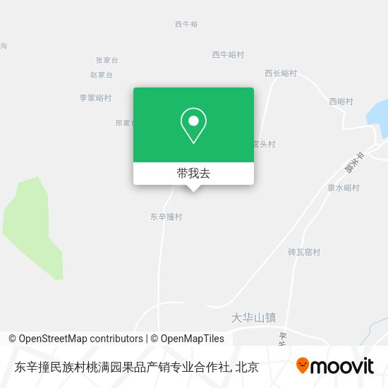 东辛撞民族村桃满园果品产销专业合作社地图