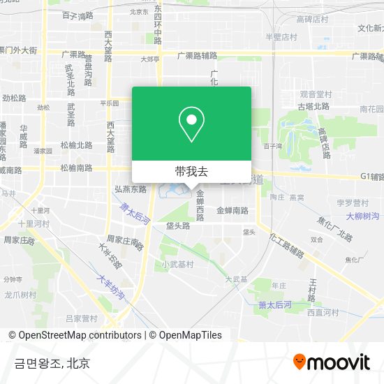 금면왕조地图