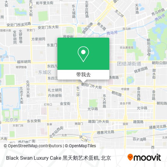 Black Swan Luxury Cake 黑天鹅艺术蛋糕地图