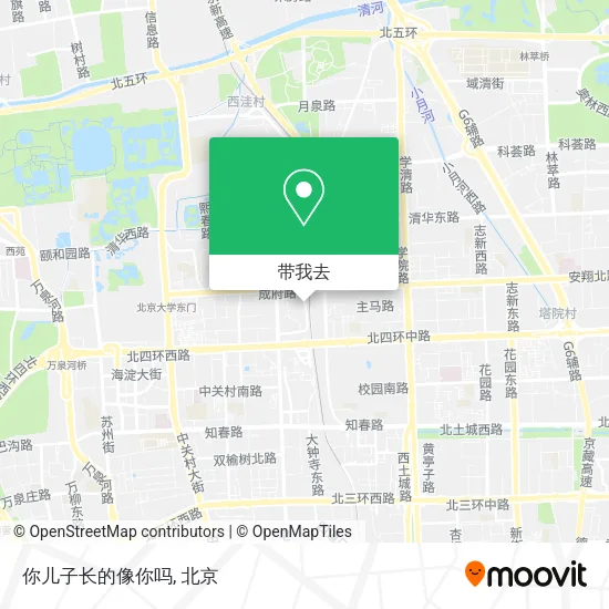 你儿子长的像你吗地图