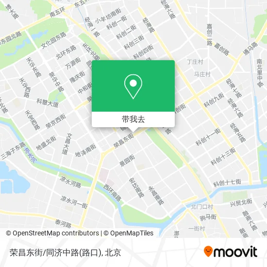 荣昌东街/同济中路(路口)地图