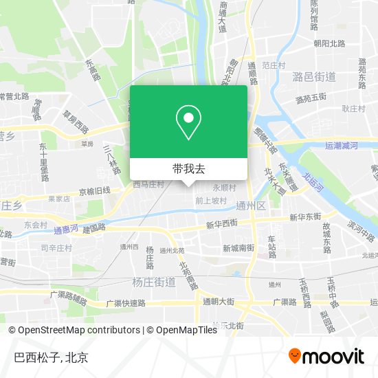 巴西松子地图