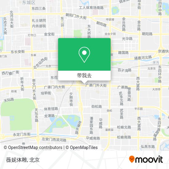 薇妮体雕地图