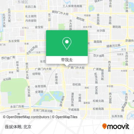 薇妮体雕地图