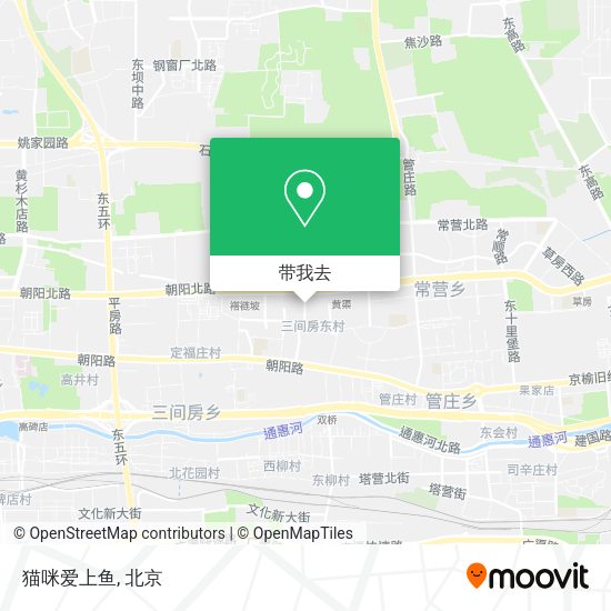 猫咪爱上鱼地图