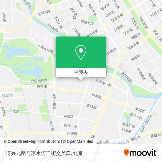 博兴九路与凉水河二街交叉口地图