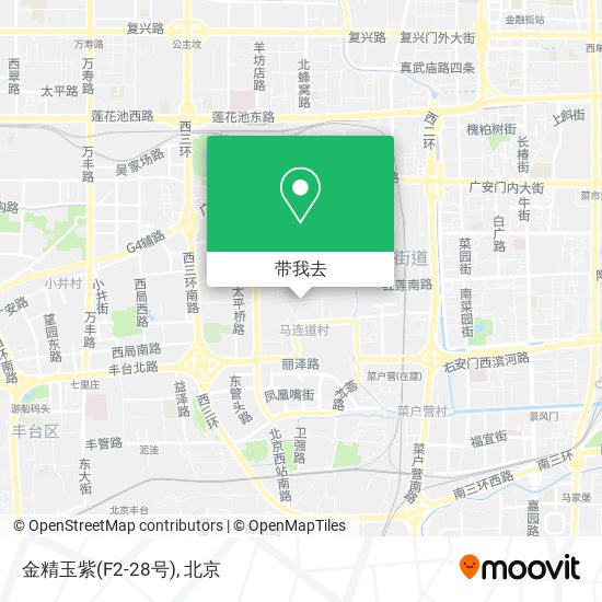 金精玉紫(F2-28号)地图